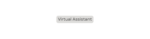 Virtual Assistant