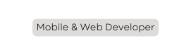 Mobile Web Developer