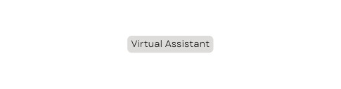 Virtual Assistant